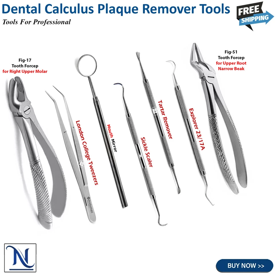 Dental Small Animals VETS Tartar Plaque Scraper Scalers Tooth Extracting Forceps - Image 1 of 1