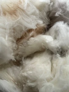 Wholesale EXC Multicolor Fleeces Handspinning Angora Fiber Raw Spinning 11 oz - Picture 1 of 6