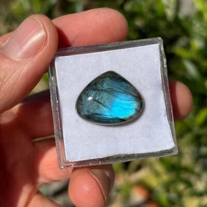 Labradorite Peacock Blue 5.3g loose Cabochon Gemstone Heart Pear 24x20x7mm Eo772 - Picture 1 of 3