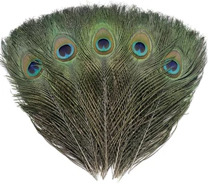 120 Stck. Echte Natürliche Pfauenauge Federn 10-12 Zoll Zum Selbermachen Handwerk, Hochzeit...  - Bild 1 von 9