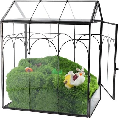 Contenedor en forma de casa para terrario de vidrio de cactus suculentas con jardinera de puerta lateral Foto 1 de 4