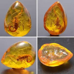 Beautiful Amber Scorpion Fossil Insects Manual Polishing Natural amber .hot - Picture 1 of 10