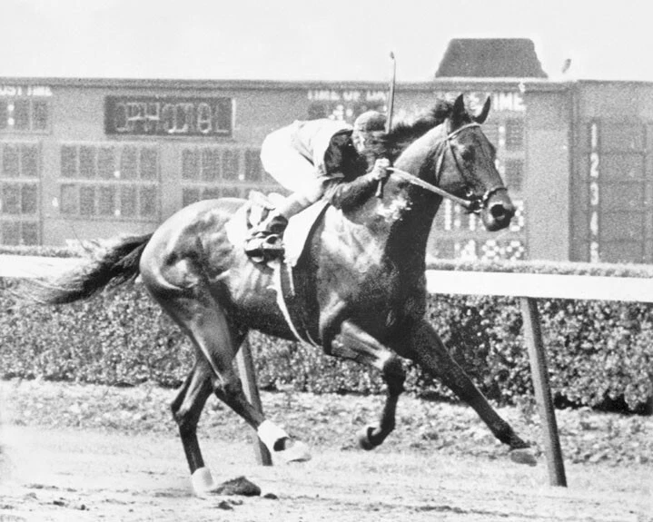Póster ganador triple corona impresión fotográfica brillante Belmont Stakes citation 1948 Foto 1 de 1