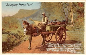 # K2034 IRLANDA POSTAL, CARRO BURRO IRLANDÉS - Imagen 1 de 2