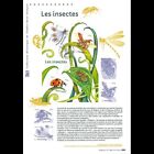 Document officiel 2017 - Les insectes