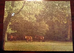TUCO PUZZLE "IN NEW FOREST SHADE" 14-1/2 X 19 IN-COMPLETE (1 PC.) - Picture 1 of 7
