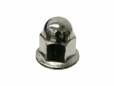 Tuerca de retención de matrícula para Volvo 240 1990-1993 12581PT 1991 1992 Foto 1 de 2