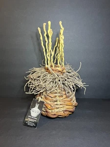 Raro FIRMADO Mika McCann Fibra Hawaiana Escultura Halekala Filodendron Cesta - Imagen 1 de 10
