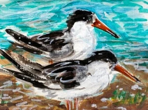 ORIGINAL ACEO Painting TERN Beach Waves OCEAN Gull BIRD Summer Shore Sea ATC ART - Picture 1 of 1