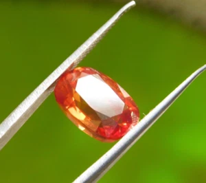 Natural 9.90Ct Spessartite Fanta Orange Garnet Certified Loose Gemstone - Picture 1 of 6