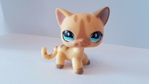 Petshop Chat Europeen 6 Ebay