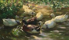 Alexander Koester Ducks on a Pond Canvas Print Various Sizes