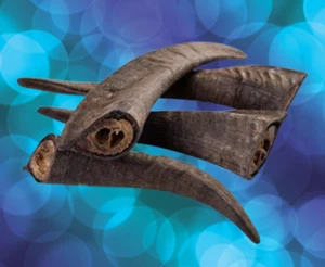 GOAT HORN Dog Hard Chews 2.2 Pounds MARROW Medium Hard 8-10 Pack Long Lasting - Picture 1 of 1