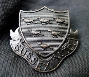 WW1 BRITISH ARMY OFFICERS HAT BADGE: SUSSEX VOLUNTEER TRAINING COMPANY. BRONZE. - Picture 1 of 3