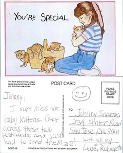 Northshore Animal League "You're Special" Gattini PC - Foto 1 di 1