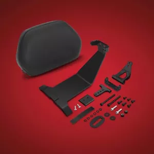 BajaRon - Show Chrome Passenger Back Rest - Can-Am Ryker - 41-420 - Picture 1 of 1