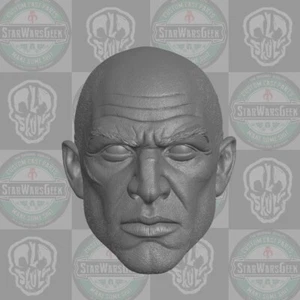 Cabeza personalizada masculina genérica para legiones míticas y otras figuras de acción - Imagen 1 de 1