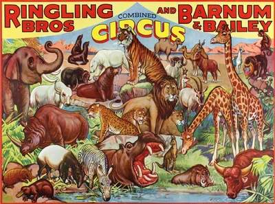 Ringling Bros Barnum & Bailey Circus Animals Vintage Poster Ad Reprint 4"X6" - Image 1 of 4