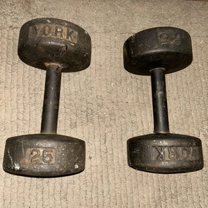 Vintage YORK Barbell Round Head Dumbbells Pair 25lb - Picture 1 of 5
