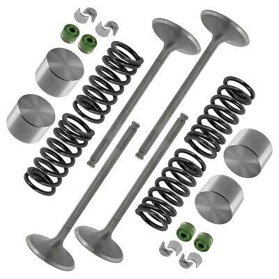 Kit de válvula de admisión para Arctic Cat Jaguar Z1 1000 2007-2008 / Bearcat Z1 XT 09-2014 Foto 1 de 4