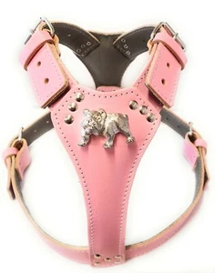 Baby PInk Leather Dog Harness Large with English Bulldog Badge - Picture 1 of 1