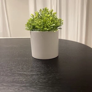Threshold Potted Faux Boxwood Plant 5” NEW - Picture 1 of 4