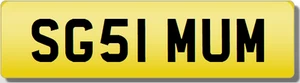 SG SGS 1 MAMA MAMA MÜTTER ANWESEND privates geschätztes Kennzeichen - Bild 1 von 1
