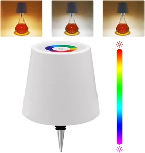Wireless Bottle Lamp with Metal, RGB Modes & 3 Color Stepless Dimming Wine - Picture 1 of 12