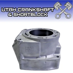 Good Used Arctic Cat 1000 Cylinder 2007-2011 97B0 3007-243 F1000 M1000 OEM 2B3M2 - Picture 1 of 9