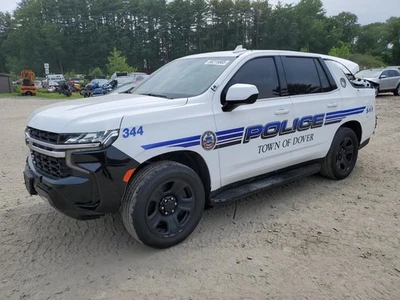 (LOCAL PICKUP ONLY) Driver Rear Side Door Privacy Tint Opt Ako Fits 21-23 TAHOE  Foto 1 de 4