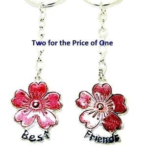 BFF best friend keychain box 2pc set flower pink silver keyring give 1 keep 1 NT - Picture 1 of 3