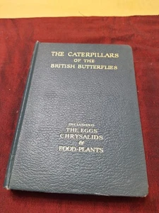 THE CATERPILLARS OF THE BRITISH BUTTERFLIES byW.J. STOKOE.PUBL 1944.Vg Clean Cdn - Picture 1 of 14