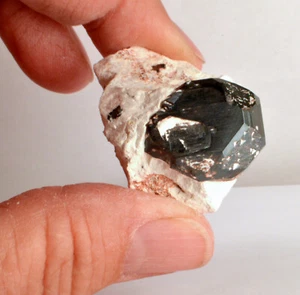 #8422 Pyrite with Bornite coating on Matrix - Milpillas Mine, Mexico [26.0 Grams - Picture 1 of 11