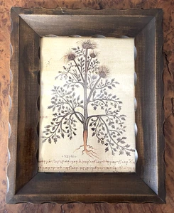 Vintage Botanical Print Rustic Wood Framed Dark Academia Hang or Freestanding - Picture 1 of 17