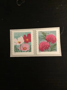 #5665a..BUTTERFLY MOUNTAIN FLOWERS BULK RATE..PAIR..MNH. REF#7 - Picture 1 of 2