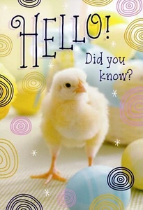 Cute HAPPY EASTER Card, Baby Chick HELLO Thinking of You by Hallmark + Envelope - Picture 1 of 5