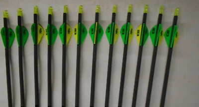 ¡12 flechas de carbono Gold Tip XT Hunter 300 con paletas blazer! CORTARÁ A MEDIDA Foto 1 de 2
