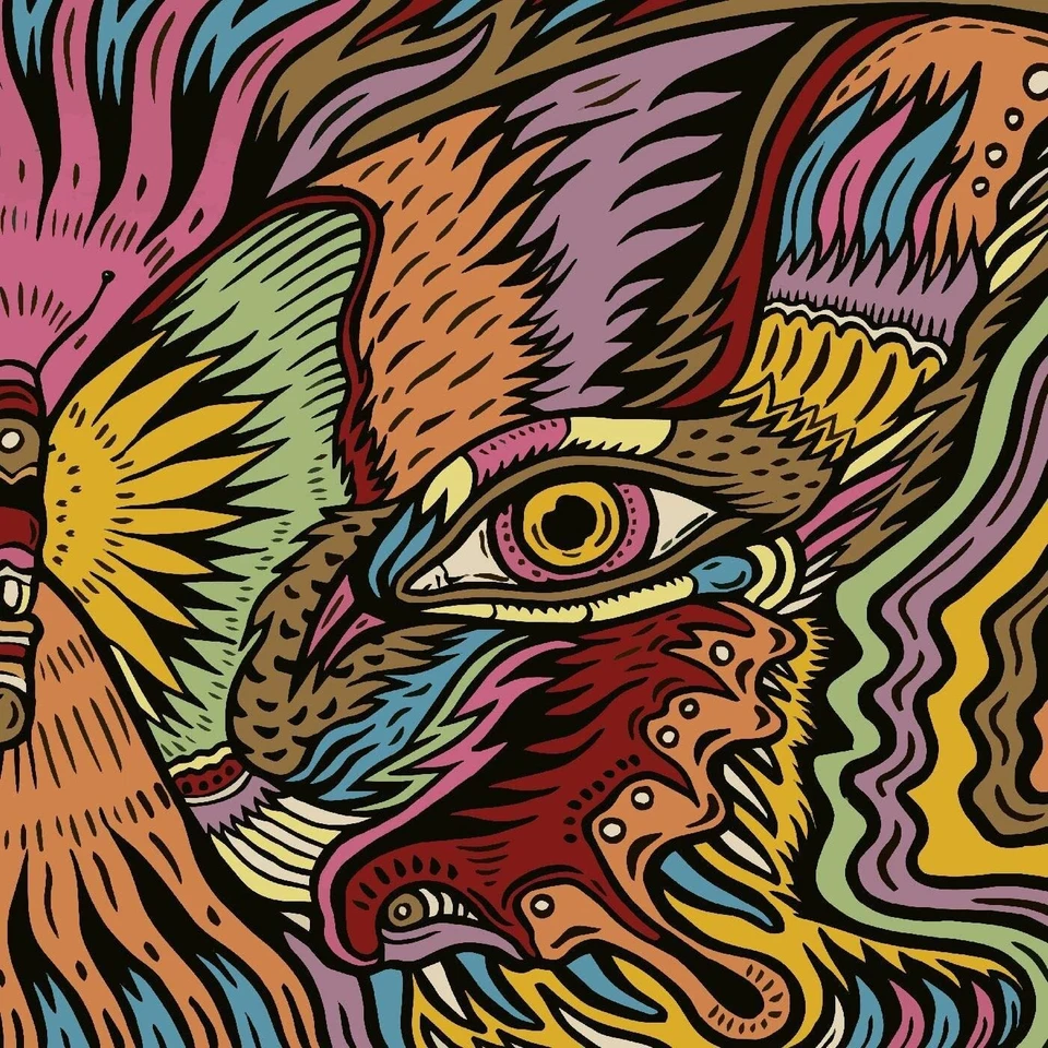 The Tronosonic Experience The Shadow - Volume 2 (Vinyl) 12" Album - Image 1 of 1