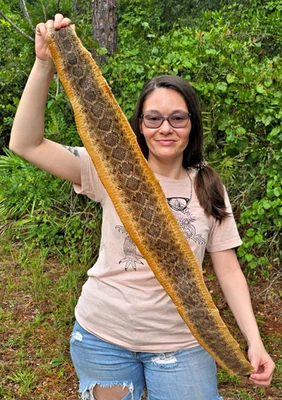 Rattlesnake skin hide pelt Leather Hide Eastern Diamond Back Costume Crafts - Image 1 of 4