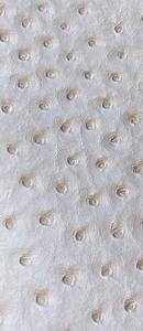 Cream ostrich faux vinyl Marine grade UV resistance waterproof Fabric - Picture 1 of 1