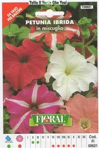 PETUNIA IBRIDA IN MISCUGLIO - DA VASO PER  BALCONI-FLORAL - BUSTA SEMENTI - Imagen 1 de 1