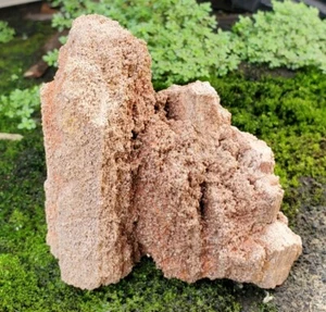 532 gr natürliches raues versteinertes Holz bedeckt mit schimmerndem Drusy Quarz - Bild 1 von 7