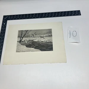 ART PAPER ETCHING PHOTO PRINT Hans Kleiber Black Ducks Mallards Water Hunt Land - Picture 1 of 18