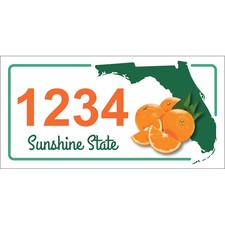 Personalized House Plaques, 12 x 6" in Metal or Magnet