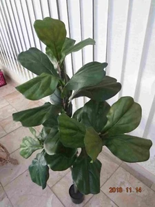 künstliche pflanzen bäume dekoart Ficus Lyrata 130cm.hoch
