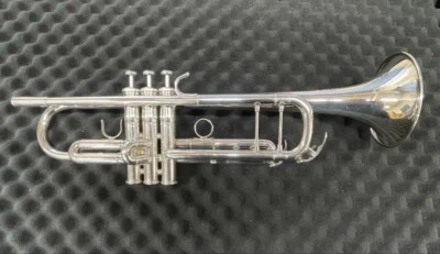 Yamaha YTR-8335 GS Tromba Bb Argento con Custodia Rigida, Boccaglio Strumento... - Immagine 1 di 4