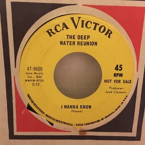 THE DEEP WATER REUNION 45 SINGLE , RUBY FOO / I WANNA KNOW - Picture 1 of 2