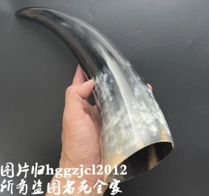 Unique 12.2" Long Polished Cow Horn Natural Color Home Decor - Picture 1 of 4
