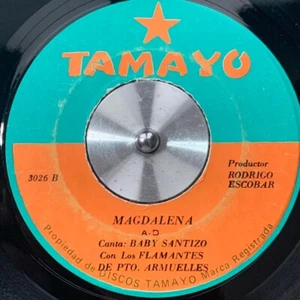 PANAMA Latin Soul Ballad LOS FLAMANTES Magdalena 45rpm 7" VERY RARE Hear!!! - Picture 1 of 2
