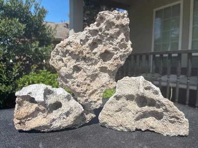 DECORAÇÃO DE AQUÁRIO DE ROCHA DE RENDA PEIXE TERRÁRIO ANIMAL DE ESTIMAÇÃO BONSAI ARTE JARDIM AQUASCAPING - Imagem 1 de 2